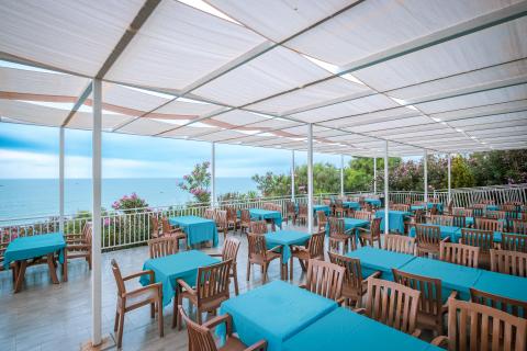 Beach Bar